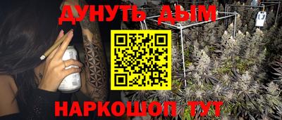 jwh Будённовск
