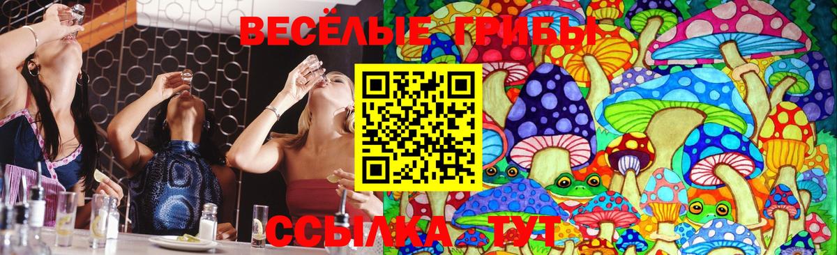 Экстази  Армавир  Меф МЯУ МЯУ   Конопля  Мефедрон  ГАШИШ  Вход с VPN 